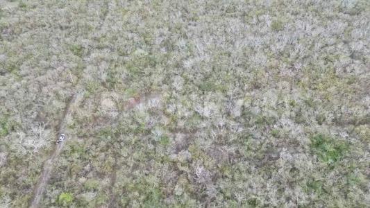 Tablaje 59 x 22,, Progreso, Yucatán 97333, Meksika