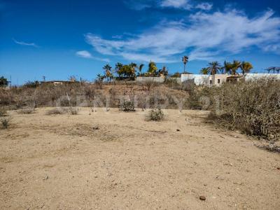 Calle S/N S/N,, La Paz, Baja California Sur 23300, México