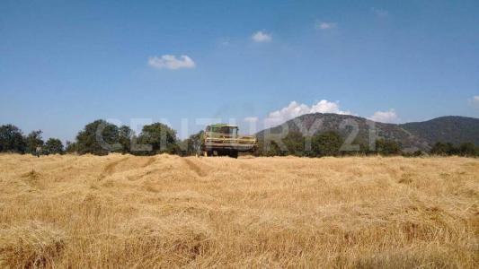 Contepec, Michoacán 61051, Mexico