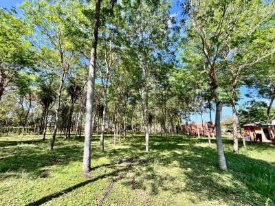 A cuadras de la Av. Gral. Bernardino Caballero, Barrio San Francisco, Ciudad de Ypané , Ypané, Central 00001, Paraguay