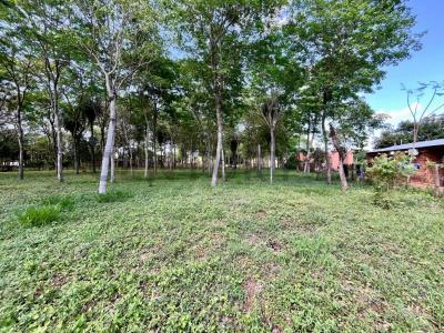 A cuadras de la Av. Gral. Bernardino Caballero, Barrio San Francisco, Ciudad de Ypané , Ypané, Central 00001, Paraguay