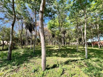 A cuadras de la Av. Gral. Bernardino Caballero, Barrio San Francisco, Ciudad de Ypané , Ypané, Central 00001, Paraguay