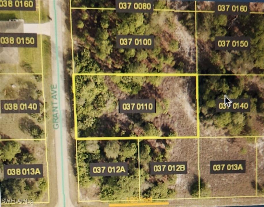 1902 Grant Avenue, Lehigh Acres, 佛羅里達州 33972, 美國