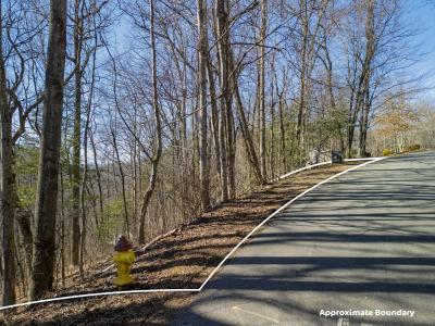 99999 Churchill Downs Drive, Fairview, Carolina Do Norte 28730, Estados Unidos