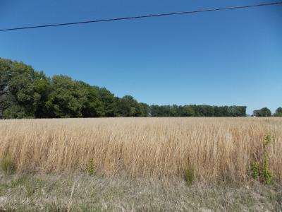 East side of AA Hwy., Poplar Bluff, Missouri 63901, USA