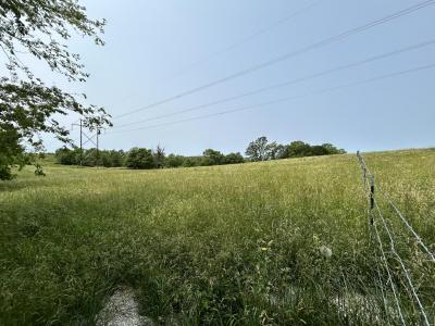 Lot 2 S Farm Road 83, Springfield, Missouri 65802, USA