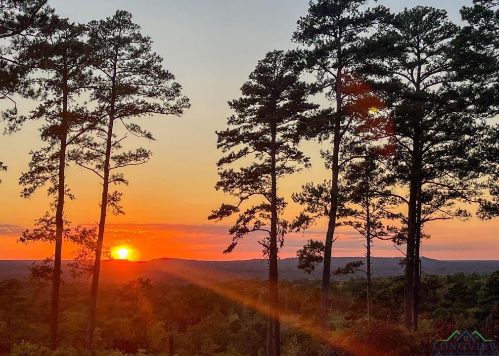 0002 Hwy 729 Tract 2 S, Lone Star, 德克薩斯州 75668, 美國