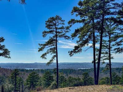 0002 Hwy 729 Tract 2 S, Lone Star, 德克薩斯州 75668, 美國