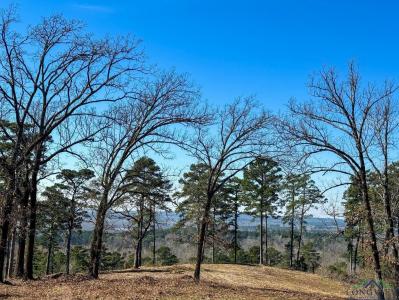 0002 Hwy 729 Tract 2 S, Lone Star, 德克薩斯州 75668, 美國