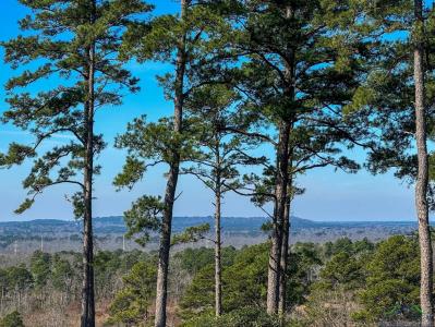 0002 Hwy 729 Tract 2 S, Lone Star, 德克薩斯州 75668, 美國