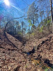 0002 Hwy 729 Tract 2 S, Lone Star, 德克薩斯州 75668, 美國