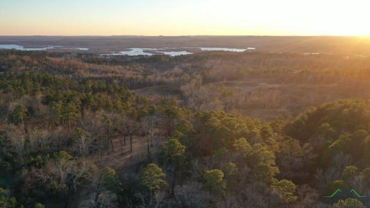 0001 Hwy 729 Tract 1 N, Lone Star, Техас 75668, Соединенные Штаты