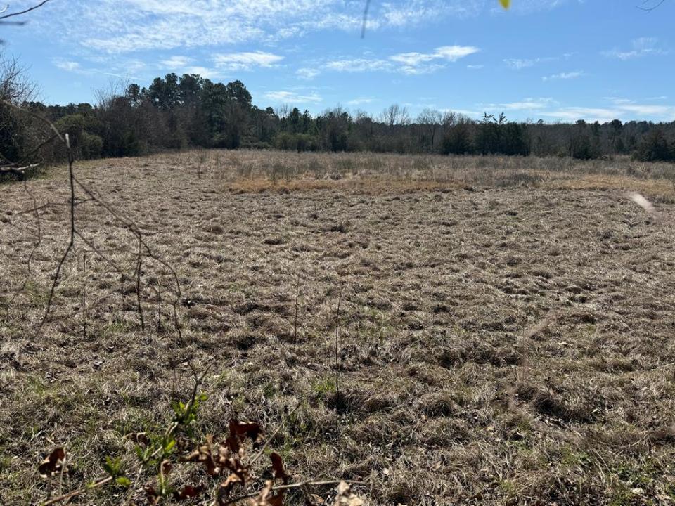 R10334 Basham Road, Pollok, Texas 75969