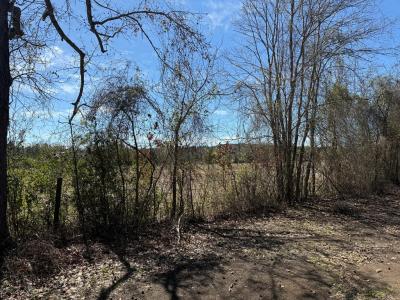 R10334 Basham Road, Pollok, Texas 75969