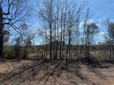 R10334 Basham Road, Pollok, Texas 75969