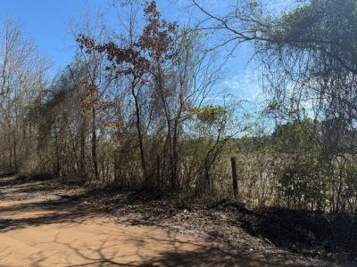 R10334 Basham Road, Pollok, Texas 75969