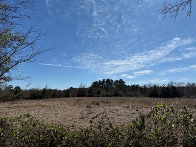 R10334 Basham Road, Pollok, Texas 75969