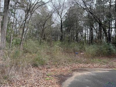000 Stonewall Drive, Marshall, Teksas 75672, USA
