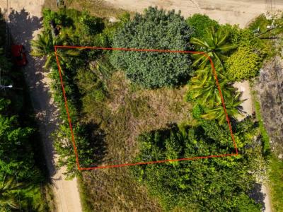 Placencia Village, Placencia Peninsula 00001, 貝里斯