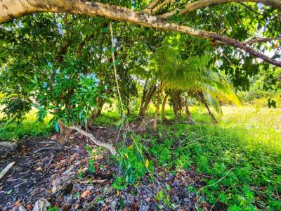 Placencia Village, Placencia Peninsula 00001, 貝里斯