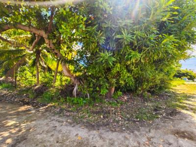 Placencia Village, Placencia Peninsula 00001, 貝里斯
