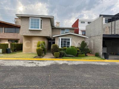 Mariano Zuñiga ,, Metepec, Estado De México 52155, Mexico