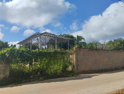 El tamarindo S/n, La Plaza De Paraguachí, Nueva Esparta 6301, Венесуэла