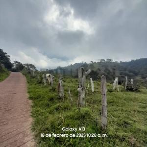 Cordero, Táchira 5001, Venezuela