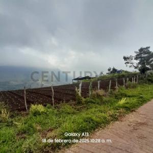 Cordero, Táchira 5001, Venezuela