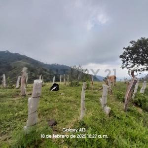 Cordero, Táchira 5001, Venezuela