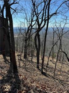 7349 Starlight Lane, Big Canoe, Georgia 30143, USA