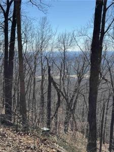 7349 Starlight Lane, Big Canoe, Georgia 30143, USA