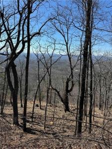 7349 Starlight Lane, Big Canoe, Georgia 30143, USA