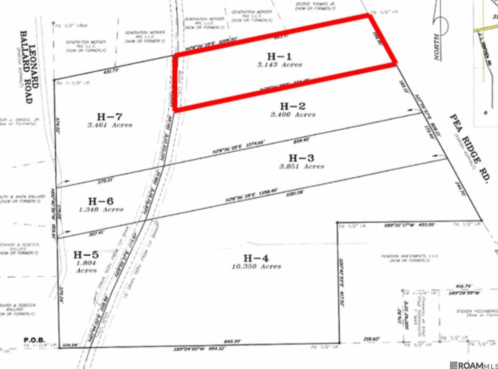 Tbd H-1 Pea Ridge Rd, Albany, Louisiane 70711, États-Unis