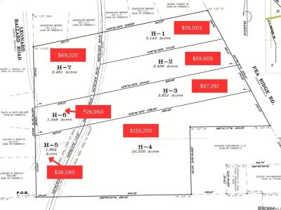 Tbd H-1 Pea Ridge Rd, Albany, Louisiane 70711, États-Unis