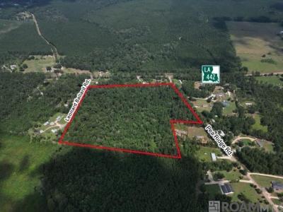 Tbd H-1 Pea Ridge Rd, Albany, Louisiane 70711, États-Unis