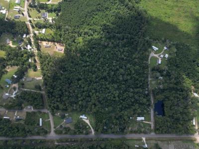 Tbd H-1 Pea Ridge Rd, Albany, Louisiane 70711, États-Unis