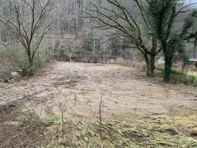 20114 Ky. Rt. 122, Bevinsville, Kentucky 41606, USA