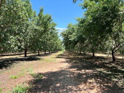 14359 Sunset Drive, Livingston, California 95334