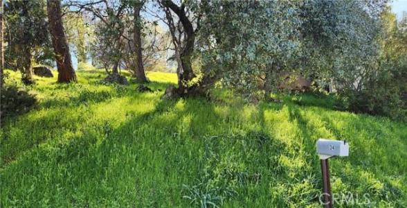 La Foret Drive, Oroville, カリフォルニア 95966, アメリカ合衆国
