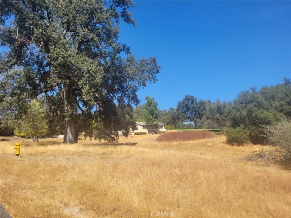 1 Griffin Dr, Oakhurst, California 93644