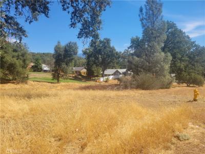 1 Griffin Dr, Oakhurst, California 93644