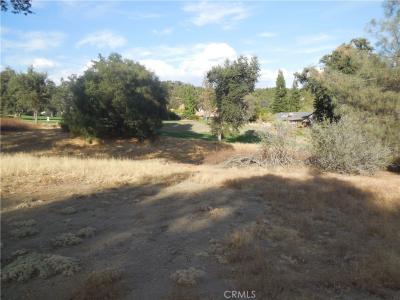 1 Griffin Dr, Oakhurst, California 93644