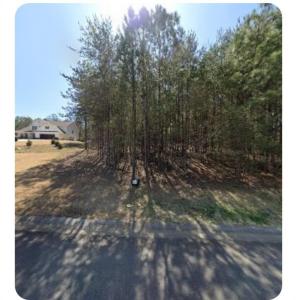 533 Black Horse Circle, Cantão, Geórgia 30114, Estados Unidos