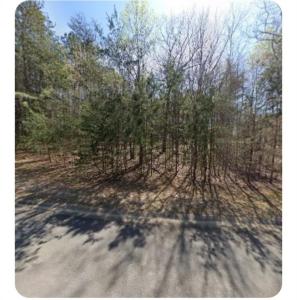 535 Black Horse Circle, Cantão, Geórgia 30114, Estados Unidos