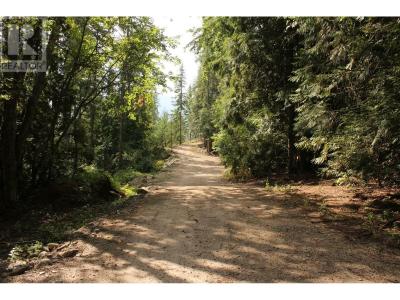 2640 3B HIGHWAY, Rossland, Colombie-Britannique V0G 1Y0, Canada