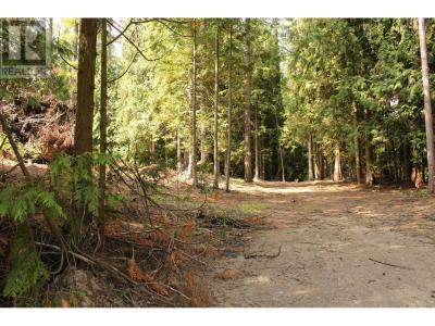 2640 3B HIGHWAY, Rossland, British Columbia V0G 1Y0, Canada
