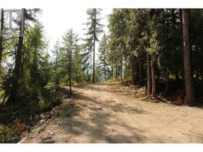 2640 3B HIGHWAY, Rossland, Colombie-Britannique V0G 1Y0, Canada