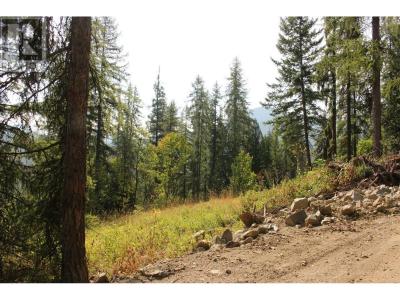 2640 3B HIGHWAY, Rossland, Colombie-Britannique V0G 1Y0, Canada