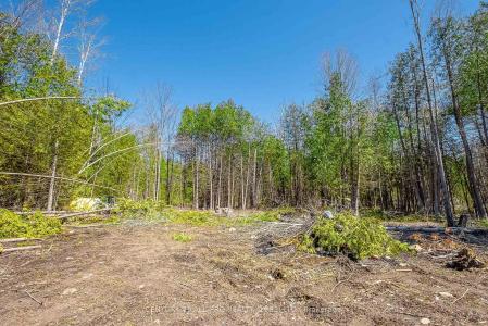 LOT 117 BAXTER ROAD, Trent Hills, Ontario K0L 1Y0, Kanada